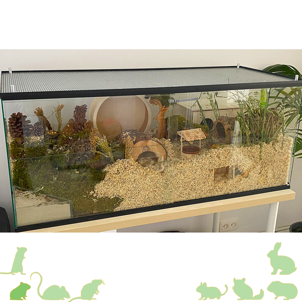 Terrarium voor Hamster met schuifruiten zonder plateaus - vast voorschot